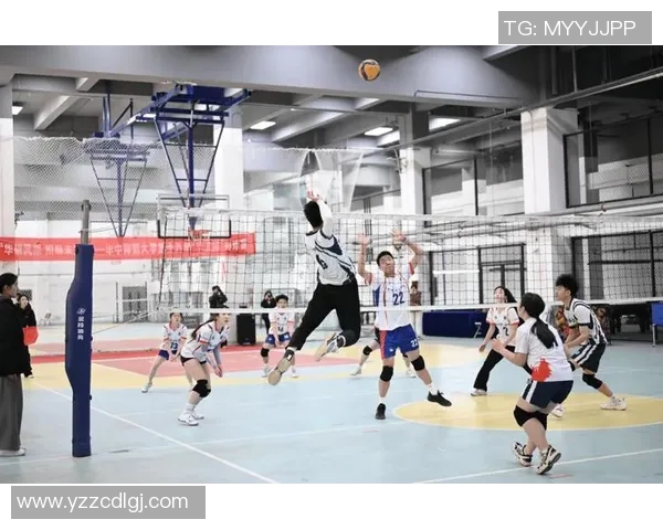 杭州排球队荣登全国排球团队协作排行榜第十名展现团队精神与实力