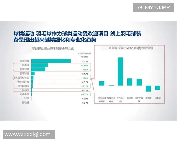 杭州羽毛球队意识表现的深度数据分析与提升策略探讨