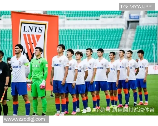 深入探讨上海排球队耐力表现的独特对比分析与启示